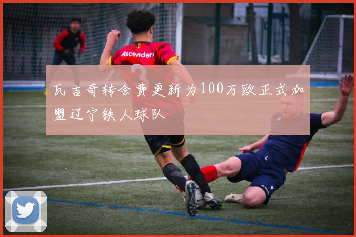 瓦吉奇转会费更新为100万欧正式加盟辽宁铁人球队