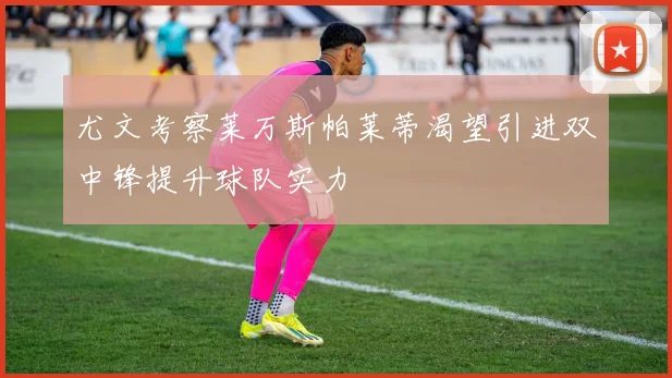 尤文考察莱万斯帕莱蒂渴望引进双中锋提升球队实力
